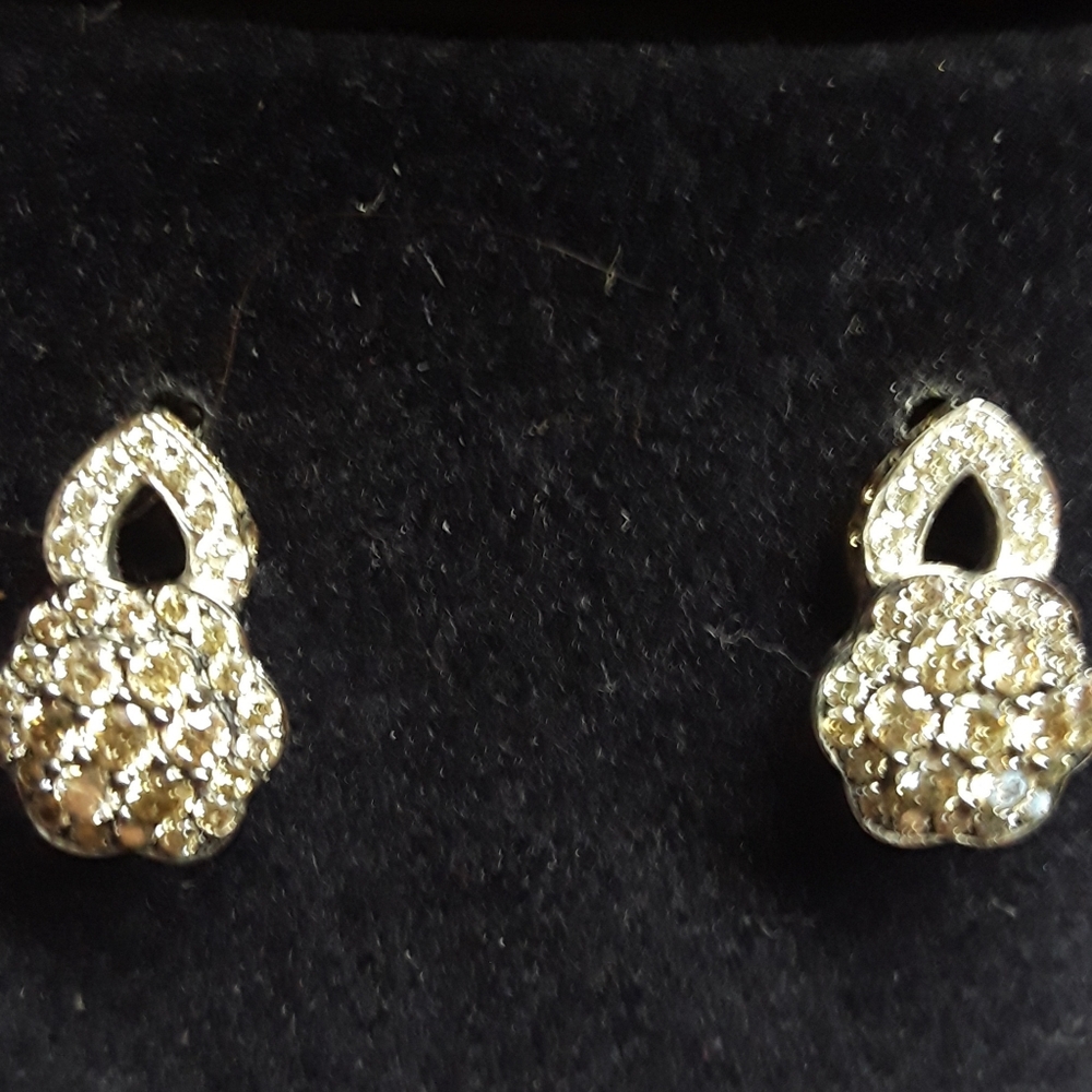 Princess Alexandra by Levian Chocolate and White Diamond Earrings - Picture 4 of 5